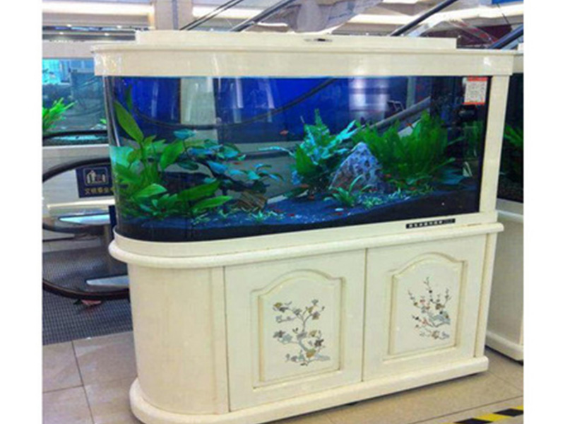 南京专业级的鱼缸订做供销 亚克力鱼缸定做